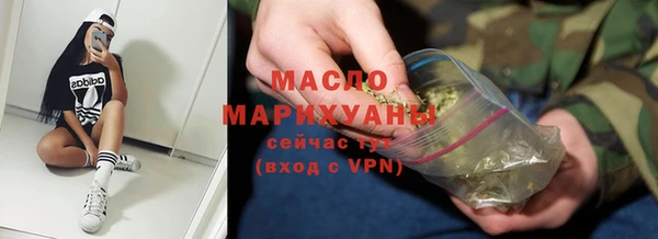 гашик Ладушкин