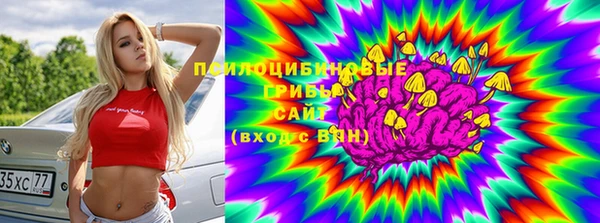 2c-b Лабытнанги
