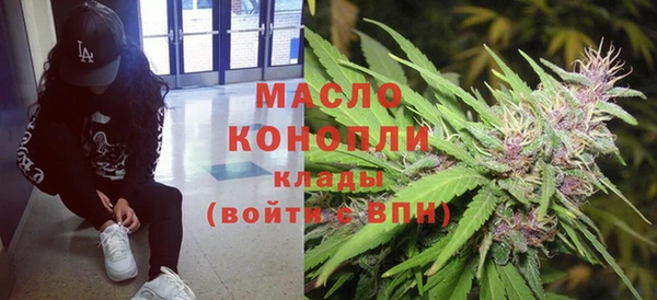 гашик Ладушкин