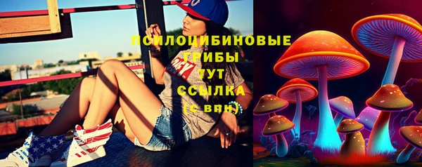 2c-b Лабытнанги