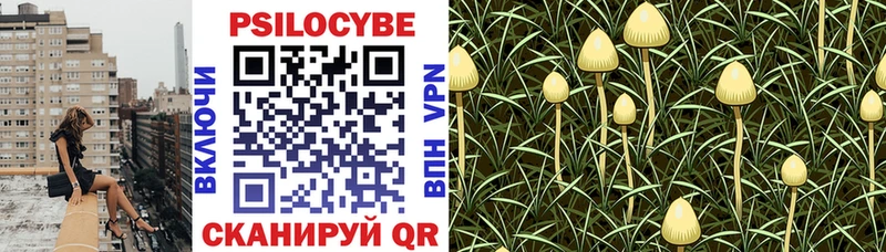 Псилоцибиновые грибы прущие грибы  дарк нет наркотические препараты  Ильский  хочу наркоту 